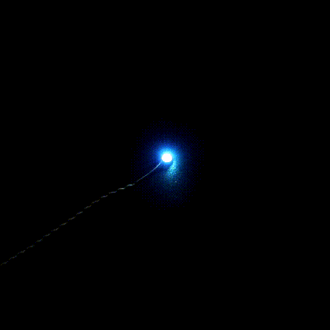 Dot Lights Clignotement lent (bleu) 15 cm (lot de trois)