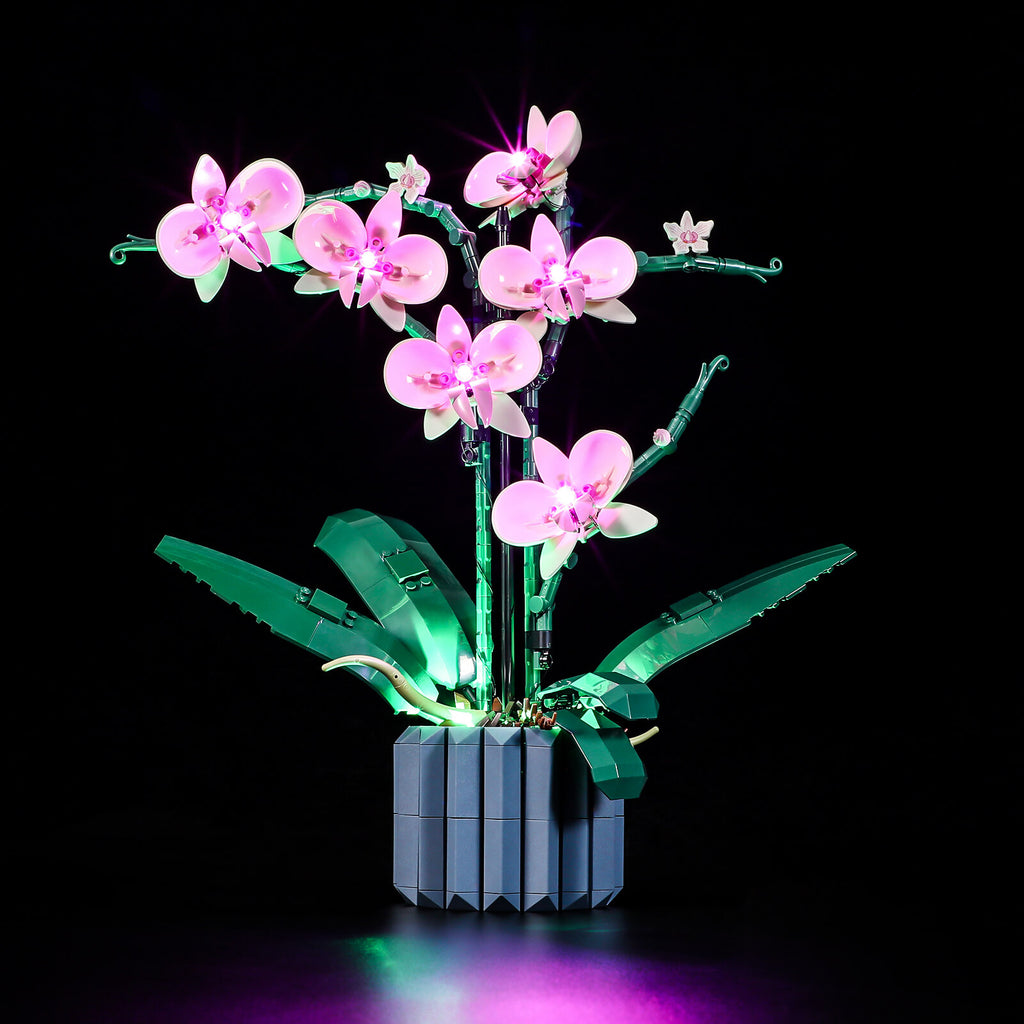 Light Kit For Orchid 10311 With Unique Night Mode – Lightailing