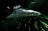 Rule the stars with the ultimate lighting Imperial Star Destroyer 75252