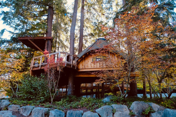 Give Glimpse to Mia’s Tree House 41335