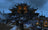 Lighting Lego Monastery Of Spinjitzu 70670 Set