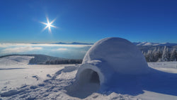 Most Cooling Lights for the Polar Igloo 21142 Set