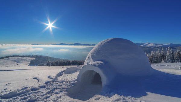 Moule à briques de neige en forme d'os | Igloo & Sandcastle Builder Moule à briques de neige en forme d'os | Igloo & Sandcastle Builder