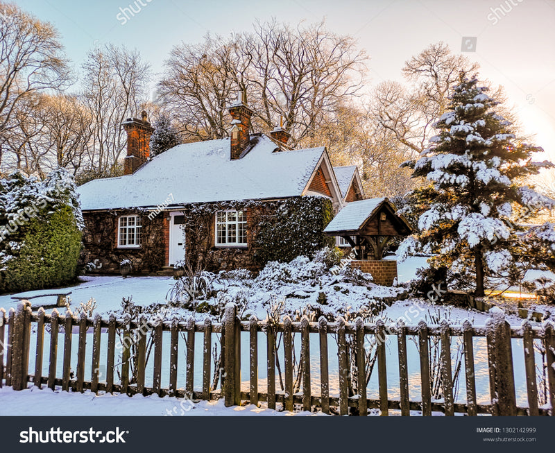 Feel The Frozen Winter With Winter Village Cottage 10229 Set