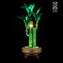 Lightailing Light Kit for Lucky Bamboo 10344 - 4