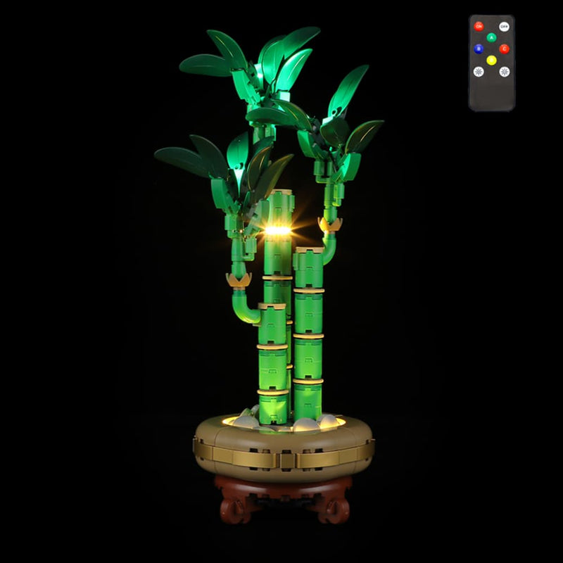 Lightailing Light Kit for Lucky Bamboo 10344 - 4