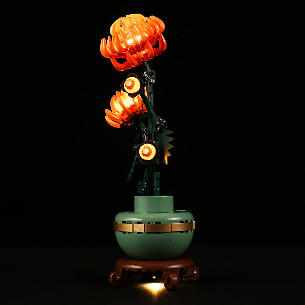 Beleuchtungsset für Chrysantheme 10368-Lightailing