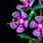 Lightailing Light Kit For LEGO Hibiscus #10372 - 5