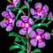 Lightailing Light Kit For LEGO Hibiscus