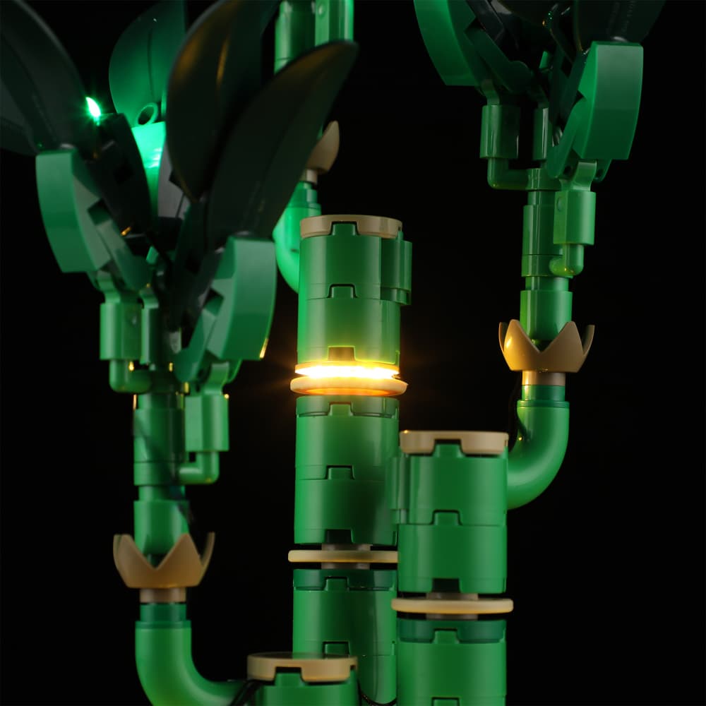 Lightailing Light Kit for Lucky Bamboo 10344 - 7