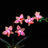 Beleuchtungsset für Mini-Orchideen 10343 - Briksmax 2.0