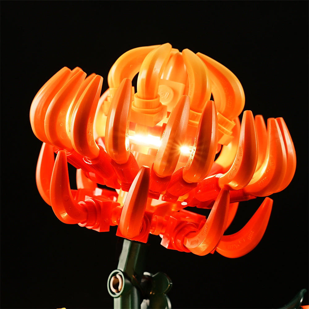 Beleuchtungsset für Chrysantheme 10368-Lightailing