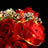 Beleuchtungsset für Bouquet of Roses 10328 - Briksmax 2.0 (Musikversion)