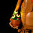 Light kit for E.T. The Extra-Terrestrial 21370 | Briksmax 2.0【Not Final Price｜Coming Soon】