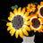 Lichter-Kit für Sonnenblumenstrauß 11502 – Briksmax 2.0
