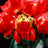 Lichtset für Rosenstrauß 10328-Briksmax