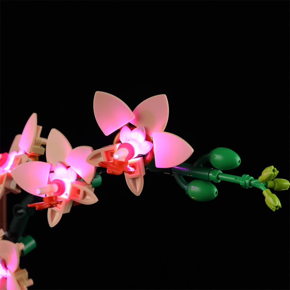 Beleuchtungsset für Mini-Orchideen 10343 - Briksmax 2.0