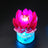 Light kit for Water Lilies 11511 | Lightailing