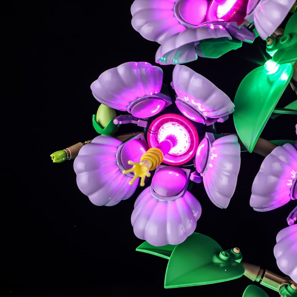 Lightailing Light Kit For LEGO Hibiscus #10372 - 7