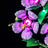 Lightailing Light Kit For LEGO Hibiscus #10372 - 7