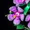 Lightailing Light Kit For LEGO Hibiscus