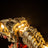 Lightailing Light Kit For LEGO Dinosaur Fossils: Tyrannosaurus rex #76968-11