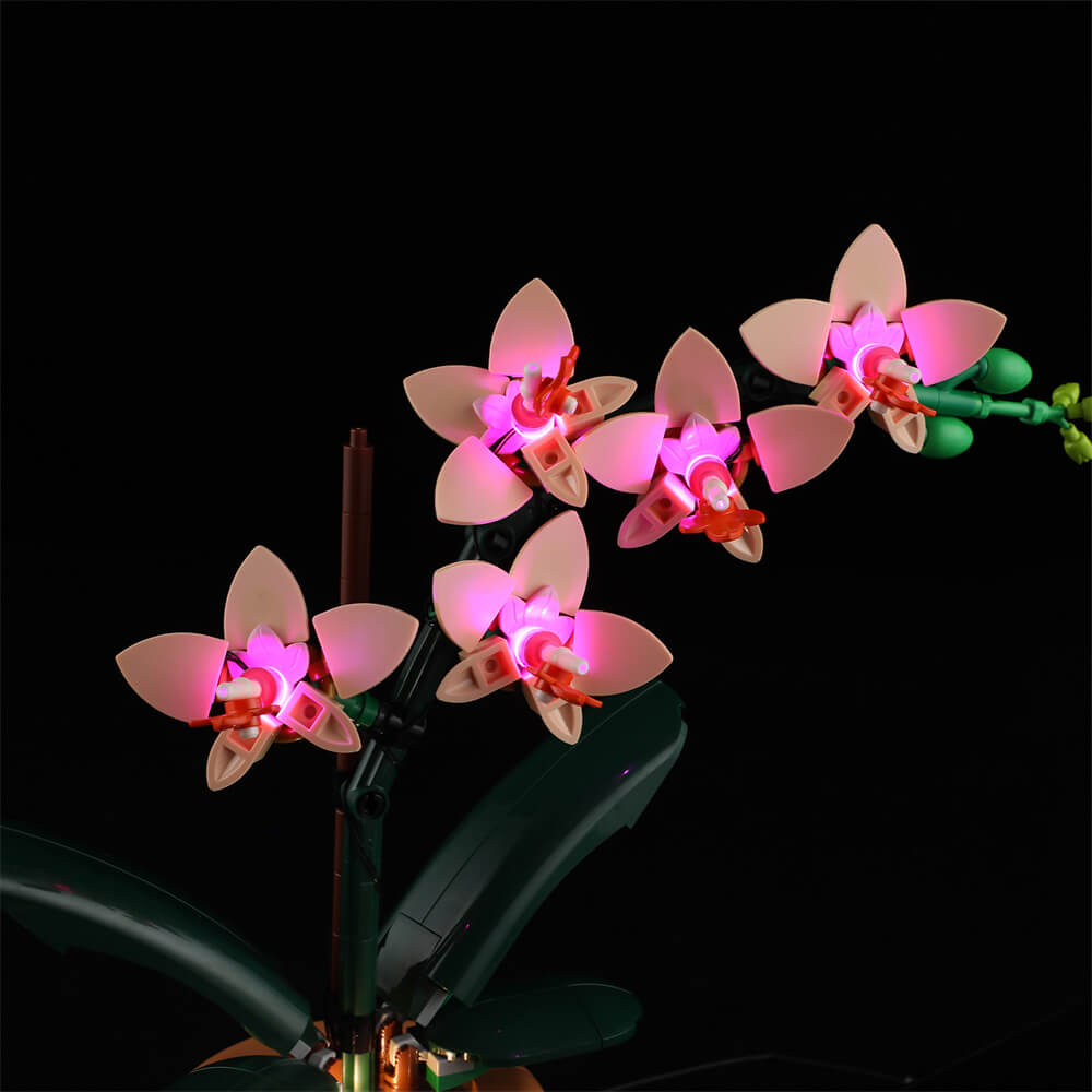 Lightailing Light Kit For LEGO Mini Orchid 10343 - 6
