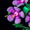 Briksmax 2.0 Light Kit For LEGO Hibiscus