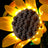Licht-Kit für Sonnenblumenstrauß 11502 - Lightailing