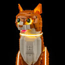 Light Kit for Orange Cat 21376 - Briksmax 2.0【Not Final Price｜Coming Soon】
