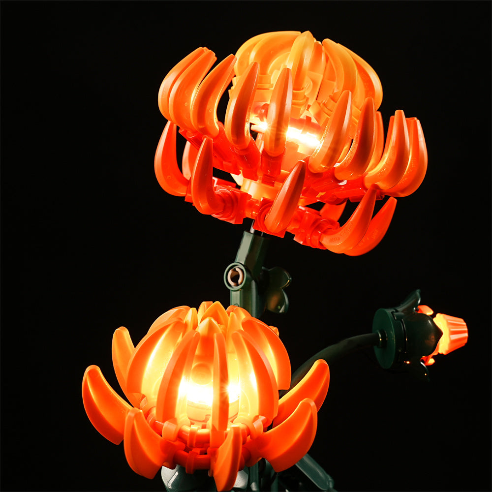 Beleuchtungsset für Chrysantheme 10368-Lightailing