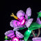 Lightailing Light Kit For LEGO Hibiscus