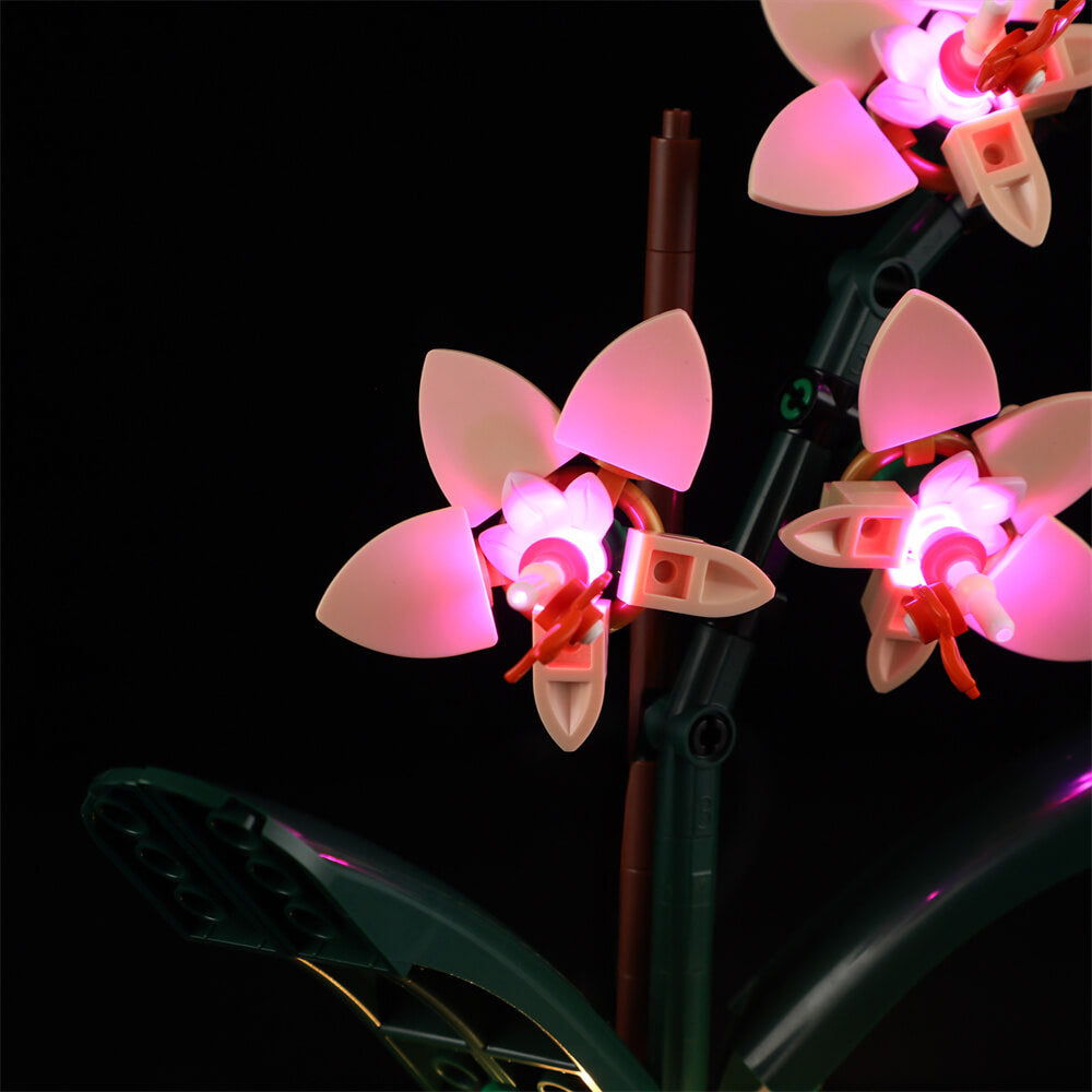 Beleuchtungsset für Mini-Orchideen 10343 - Briksmax 2.0