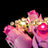 Beleuchtungsset für einen Strauß rosa Rosen 10374- Lightailing