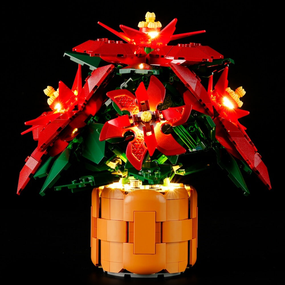 Beleuchtungsset für Weihnachtsstern 10370 -Briksmax