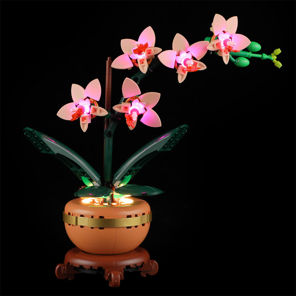 Beleuchtungsset für Mini-Orchideen 10343 - Briksmax 2.0