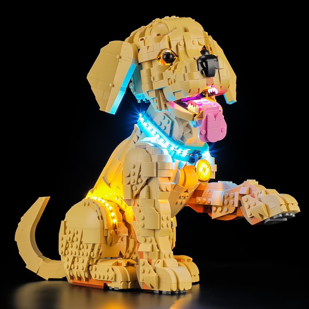 Light Kit for Golden Retriever Puppy 11384- Lightailing