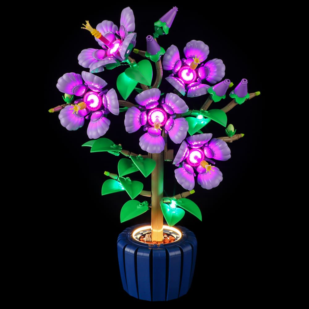 Briksmax 2.0 Light Kit For LEGO Hibiscus #10372 -4