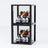 Compact 4-Tier Display Case for 72 LEGO® Minifigures (2 Pack)| BRIKSMAX