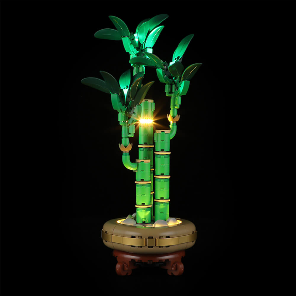 Beleuchtungsset für Lucky Bamboo 10344-Lightailing