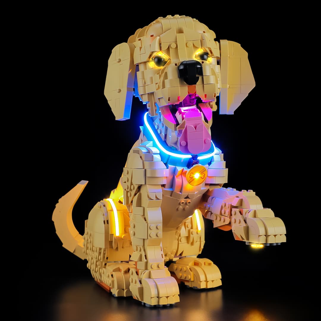 Kit d'éclairage pour chiot Golden Retriever 11384 - Briksmax 2.0