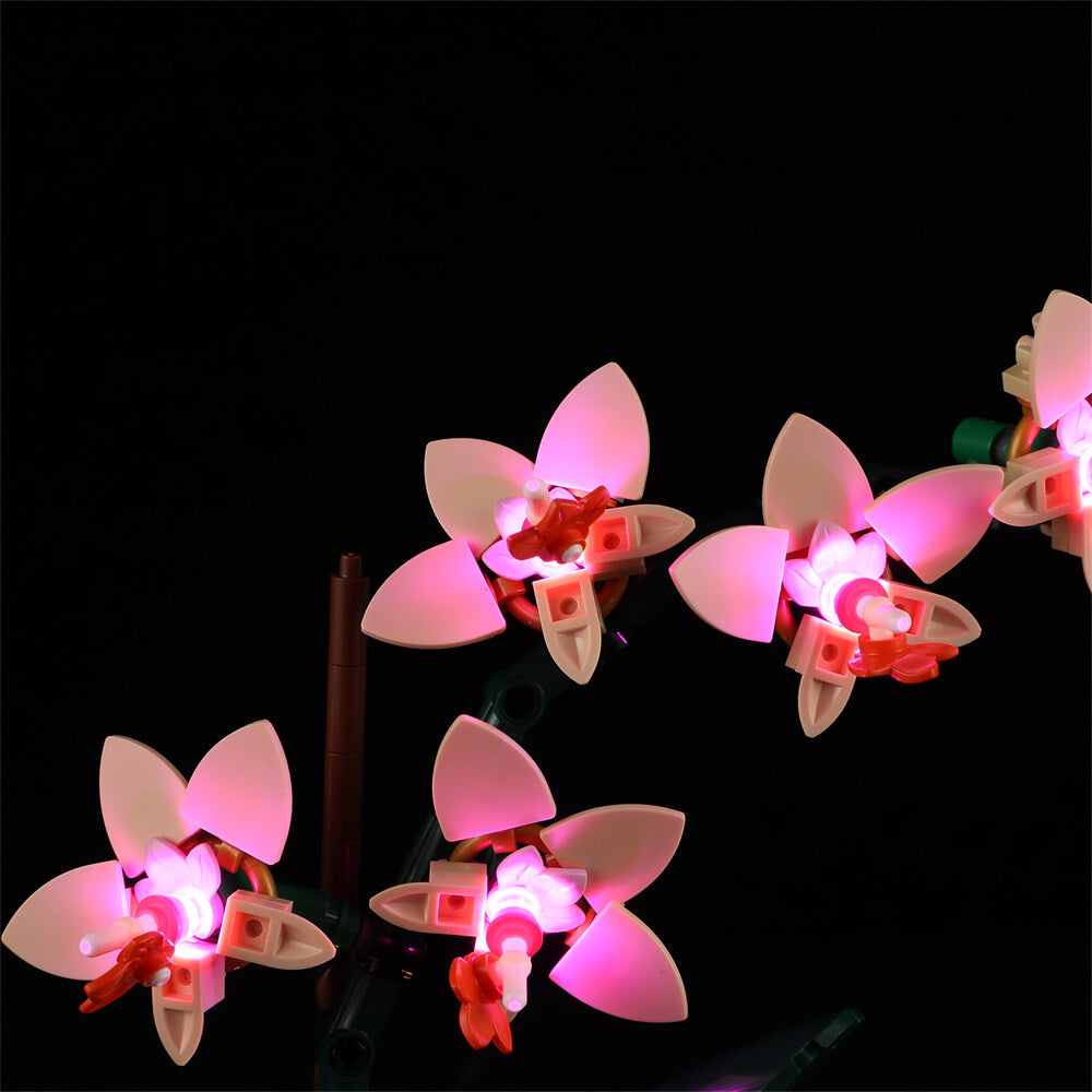 Beleuchtungsset für Mini-Orchideen 10343 - Briksmax 2.0