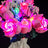 Briksmax 2.0 Light Kit for LEGO Bouquet of Pink Roses 10374- 9