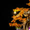 Lightailing Light Kit For LEGO Mini Bonsai Trees