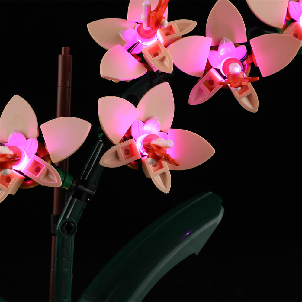 Lightailing Light Kit For LEGO Mini Orchid 10343 - 7