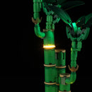 Lightailing Light Kit for Lucky Bamboo 10344 - 8