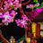 Light Kit For Tranquil Garden 10315-Briksmax