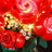 Lichtset für Rosenstrauß 10328-Briksmax