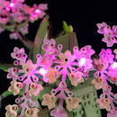 Light Kit For Great Deku Tree 2-in-1 (77092)-Lightailing
