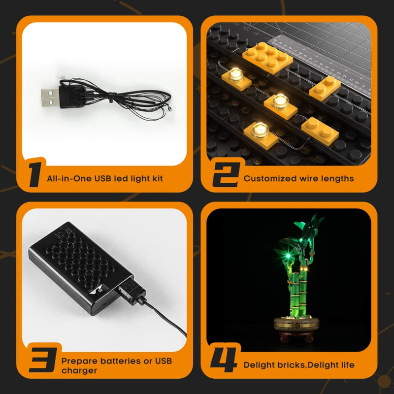 Light Kit for Lucky Bamboo 10344 - Lightailing(Remote Version)
